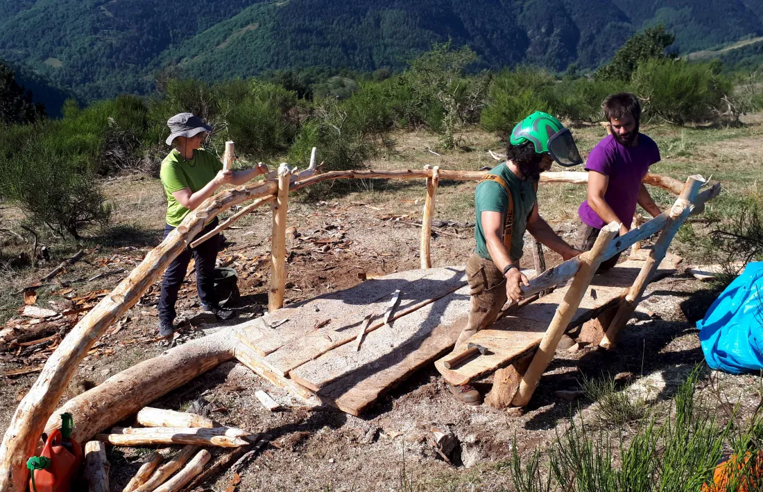 Voluntaris de Boscos de Muntanya treballant aquest estiu.