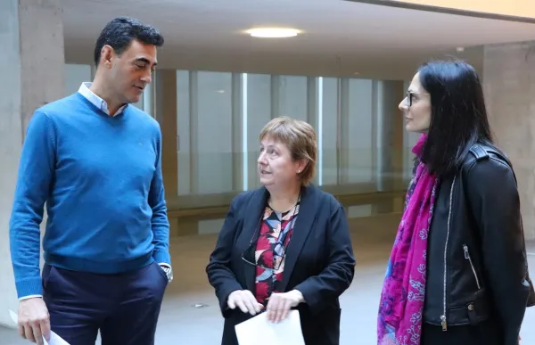 p._14_ferre_ferrer_i_molne_al_consell_general_da