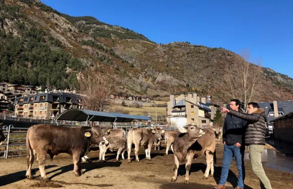 p._14_central_dret_comu_per_ordino_arans_ordinosectorprimari2