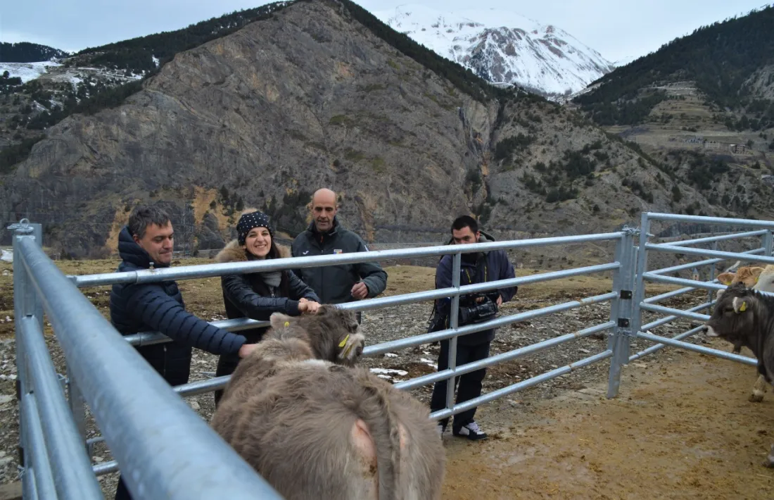 Miquel Naudi, Vanessa Torres i Dani Torres van visitar ahir una explotació ramadera.