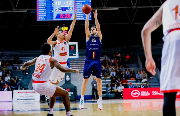 p._28_2019_12_11_and-lez-8387