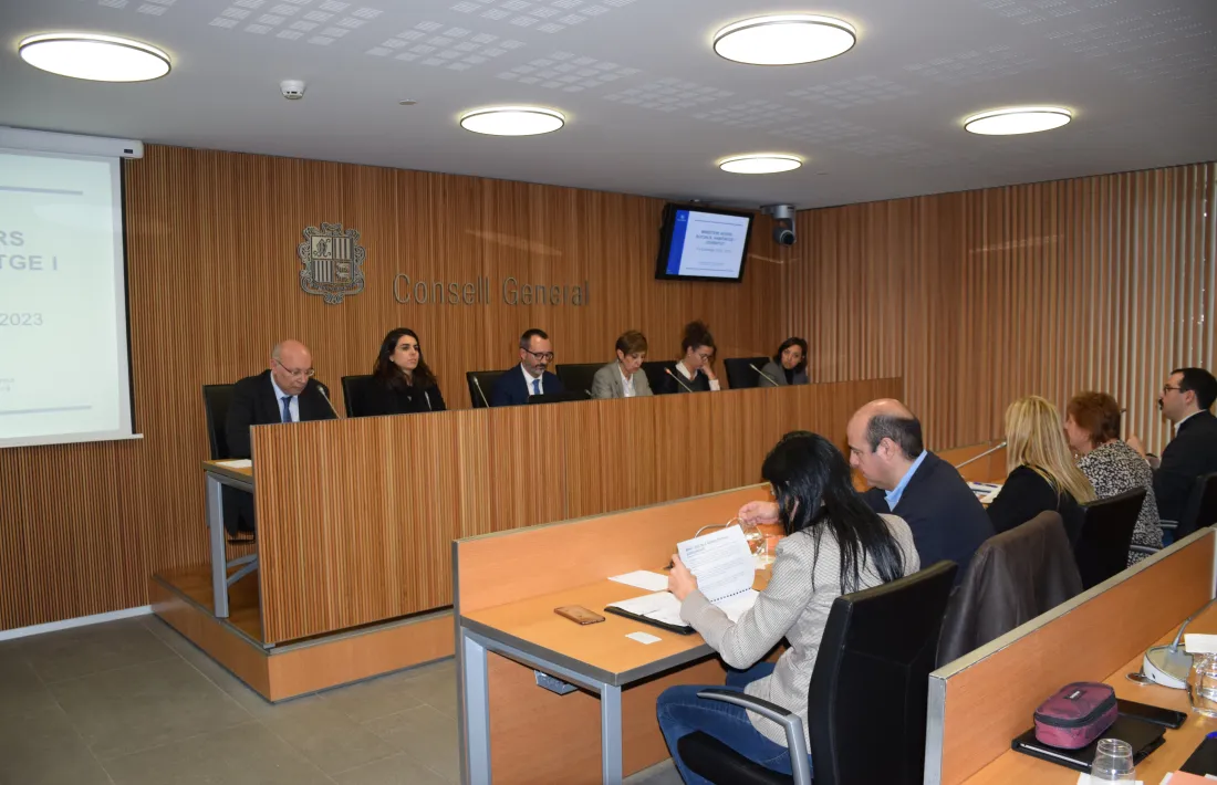 Un moment de la compareixença de Filloy davant la comissió d’Afers Socials i Igualtat.