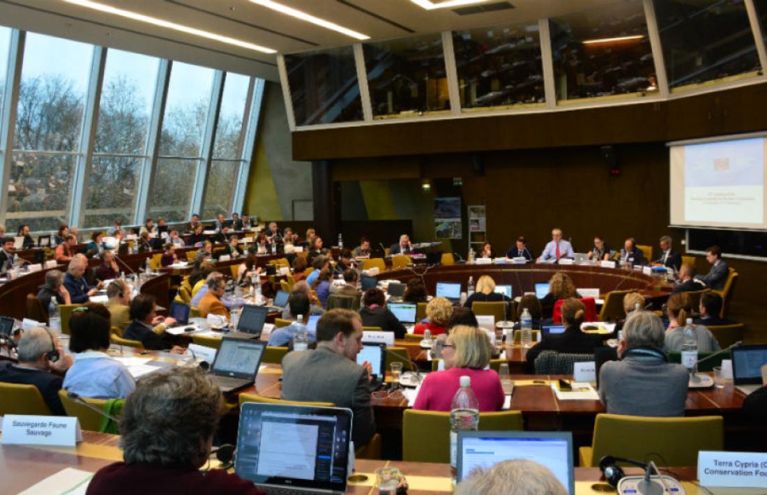 Seminari del Consell d’Europa on s’ha ratificat l’adhesió d’Andorra a la xarxa.
