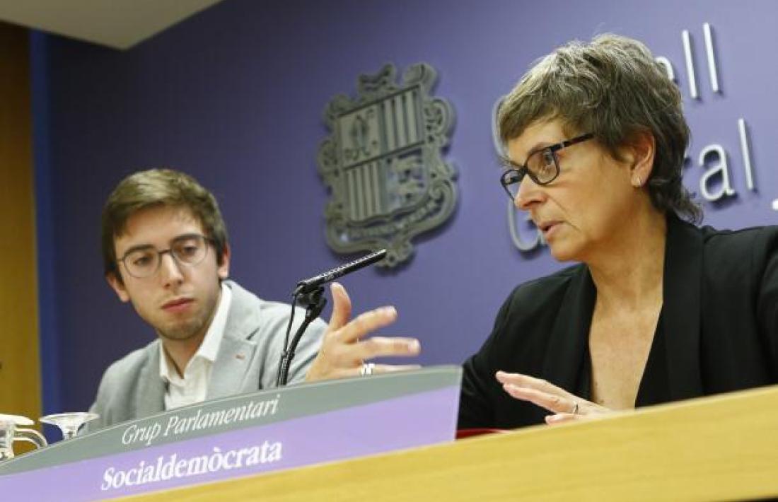 Els consellers socialdemòcrates Roger Padreny i Susanna Vela van presentar la proposta d'Estatut de l'artista el 31 d'octubre.
