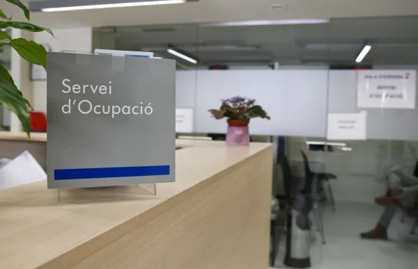 p._08_-_1_servei_ocupacio