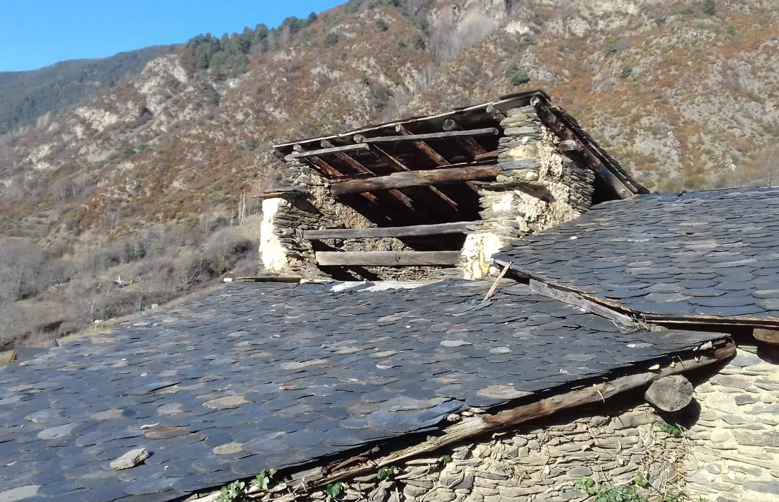 El cobert del colomer, que ha perdut el lloser que impedia l'accés dels depredadors.