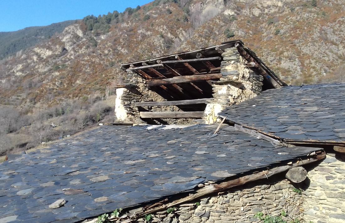 El cobert del colomer, que ha perdut el lloser que impedia l'accés dels depredadors.
