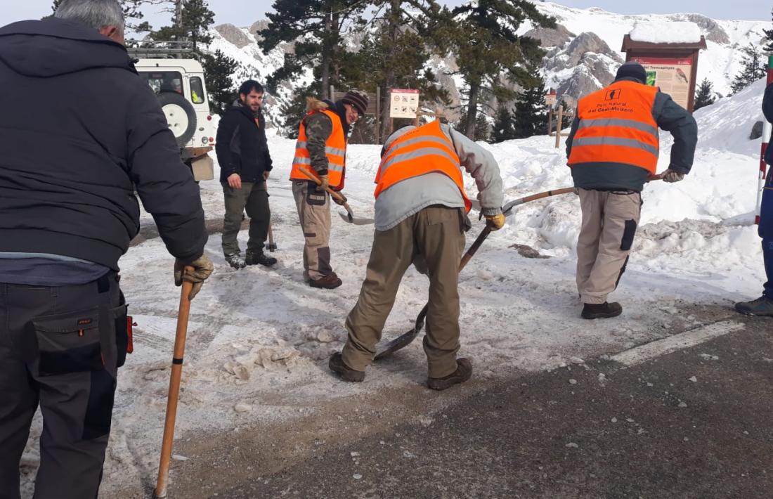 Operaris de la brigada del parc netejant els accessos afectats per la nevada del temporal ‘Gloria’.