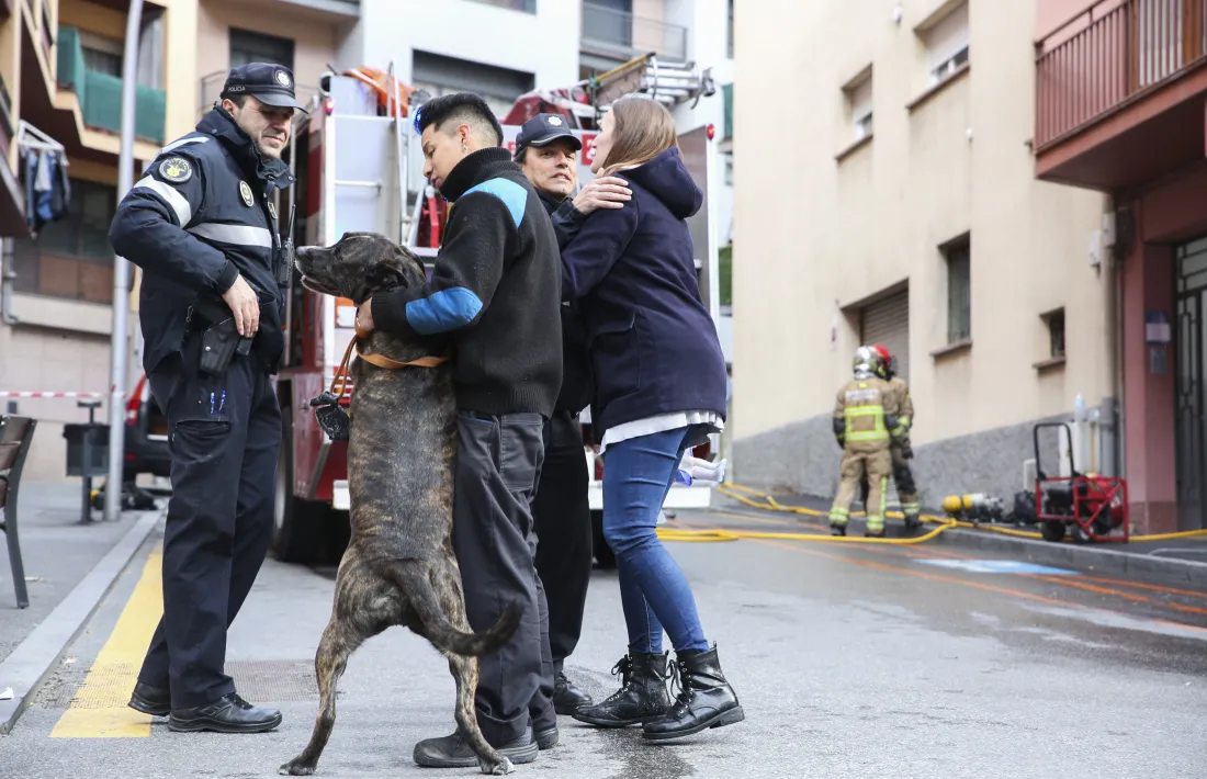 Rocky, segurament feliç de veure’s fora de perill. 	 