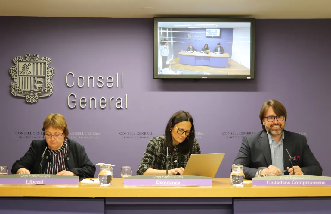 Els consellers generals de la majoria, Sílvia Ferrer, Ester Molné i Carles Naudi.