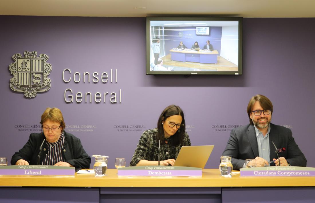 Els consellers generals de la majoria, Sílvia Ferrer, Ester Molné i Carles Naudi.