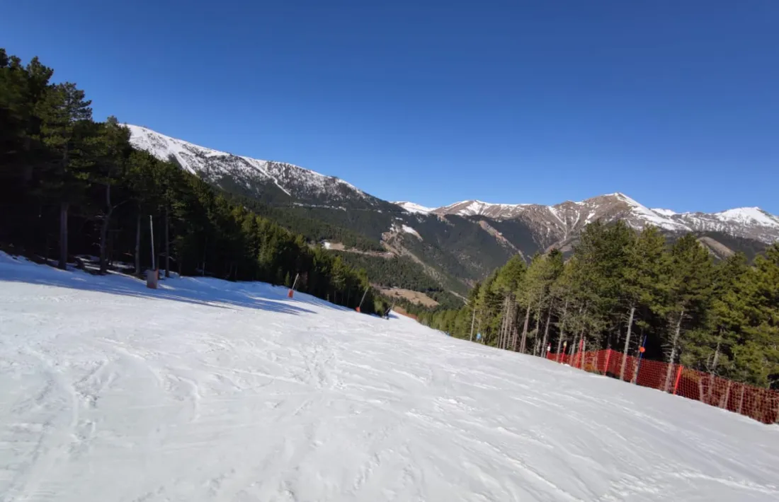 Pistes buides al sector de Pal.
