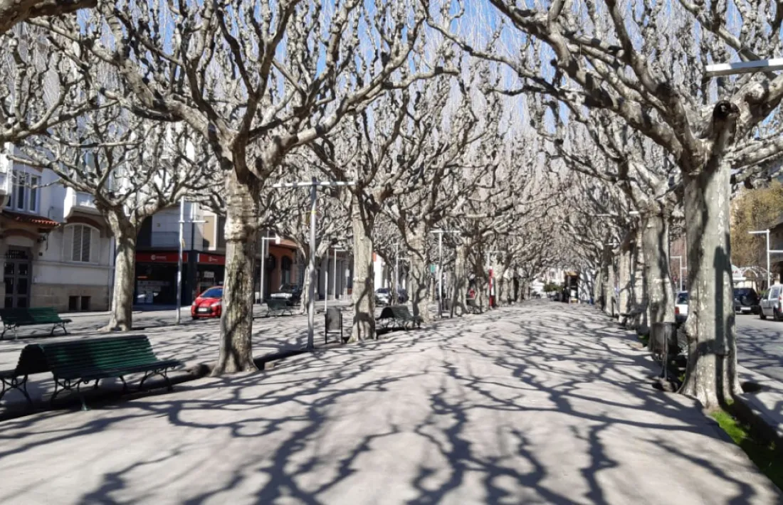 El passeig, solitari.