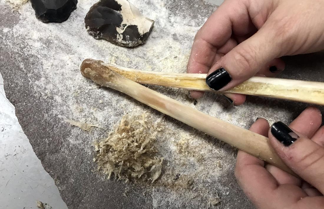 Com convertir el confinament en un taller paleolític