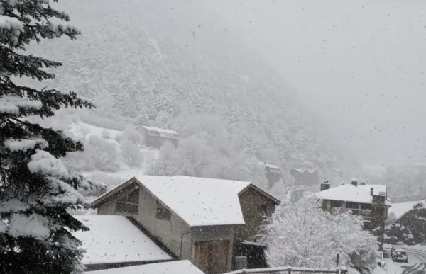 150144_captura_de_pantalla_2020-03-31_a_las_12.36.07