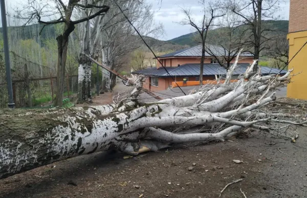 4165ccf8-69d4-46f8-96e4-dd8b3efd7c93