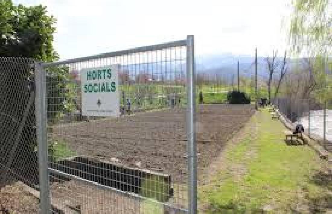 Imatge d'arxiu dels horts socials de la Seu d'Urgell.
