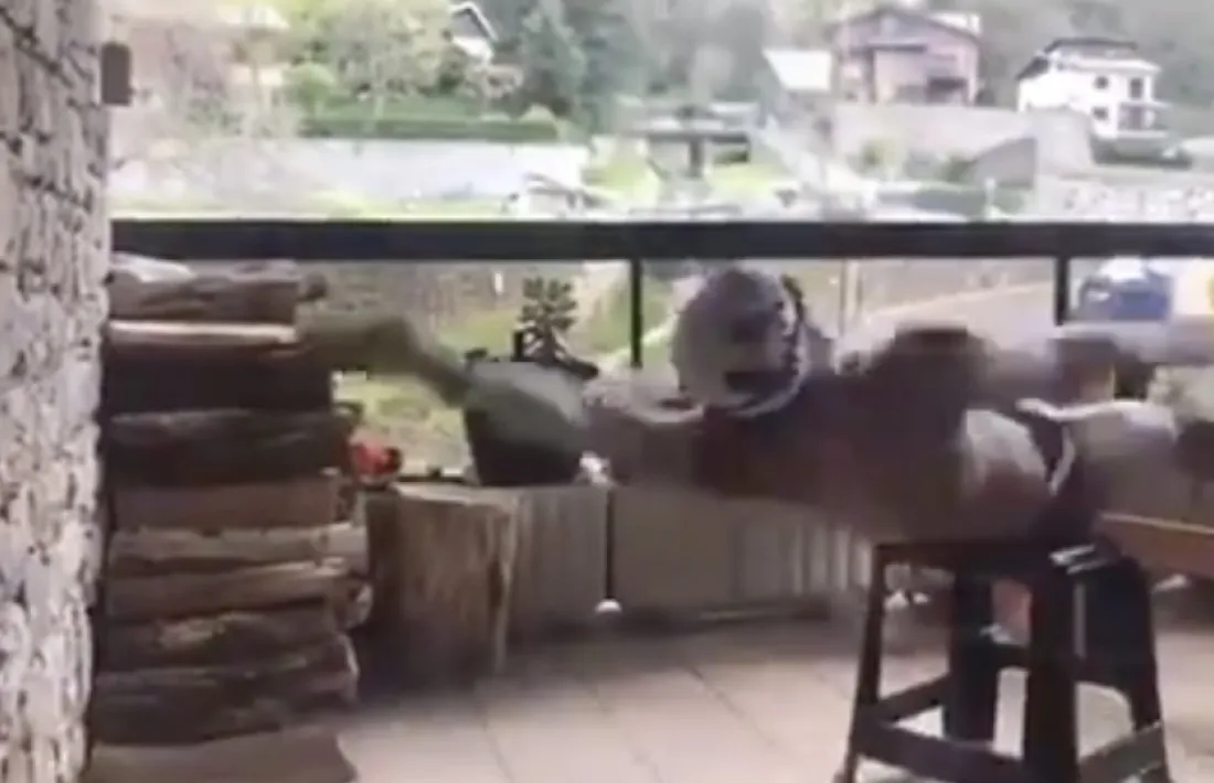 Un nedador simulant fent esquena a un tamboret de casa.