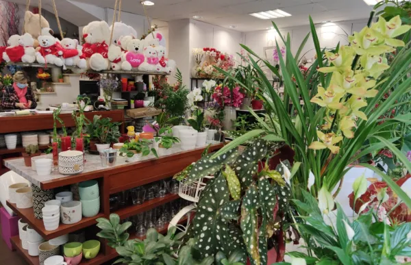 whatsapp_image_2020-04-20_at_11.34.32