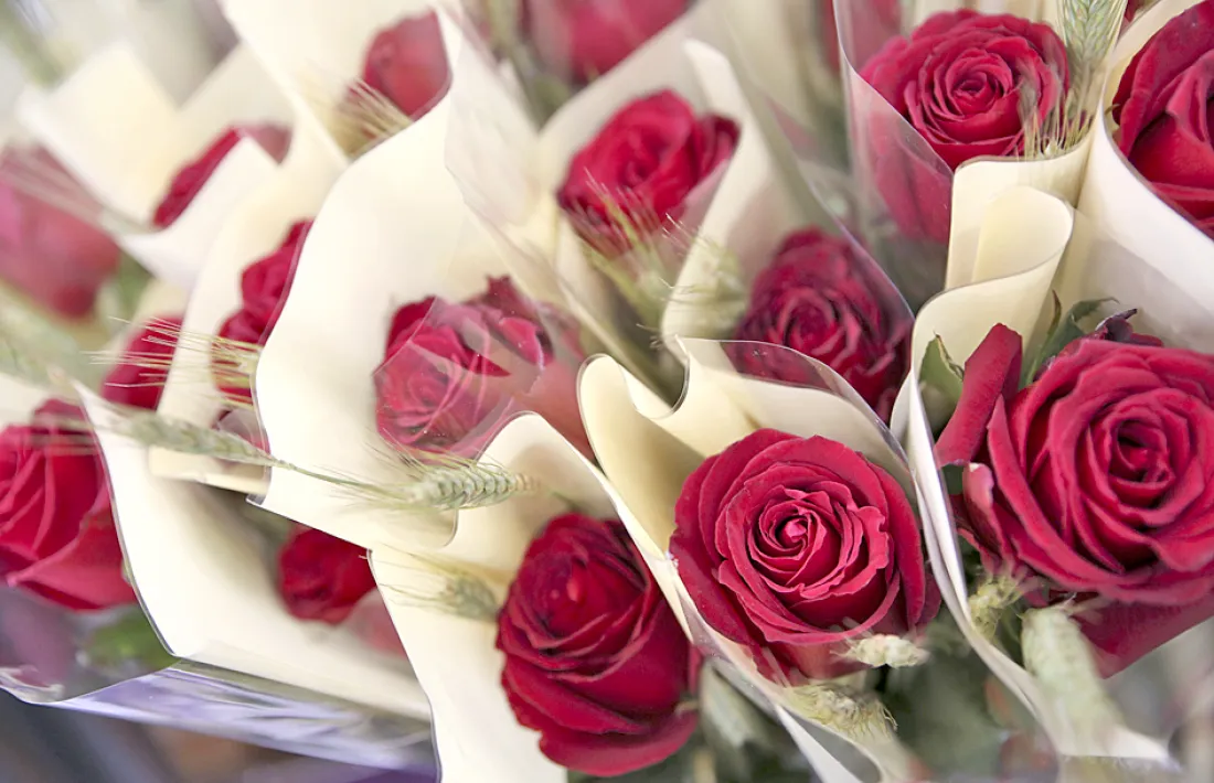 Alguns floristes asseguren que haurien venut tres vegades més.