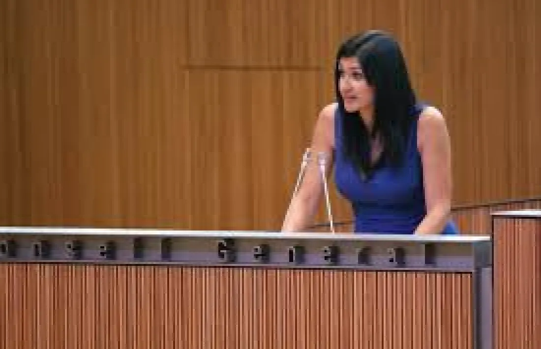 La consellera general de Terceravia, Carine Montaner.