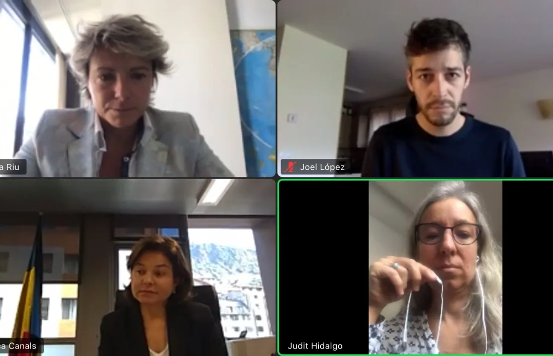 Participants en el webinar que s'ha fet aquest matí.