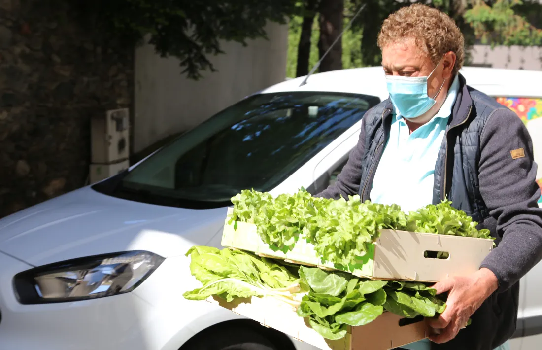 Les primeres verdures ja arriben al Rebost Solidari de Càritas Parroquial