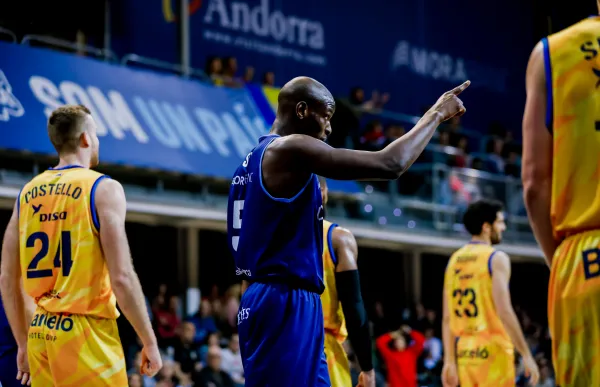 49601355783_66a730fe87_o