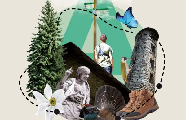 151271_captura_de_pantalla_2020-07-13_a_les_16.23.41