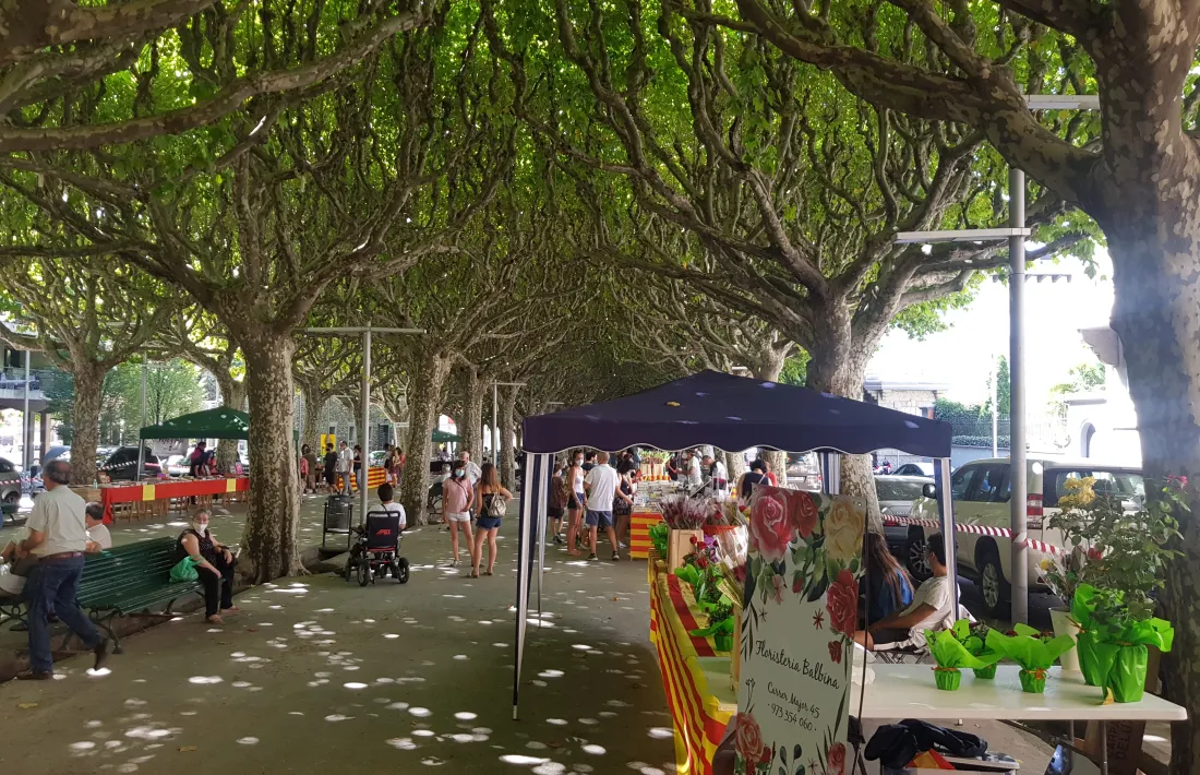 IMatge que ofereix el passeig Joan Brudieu de la capital alturgellenca.
