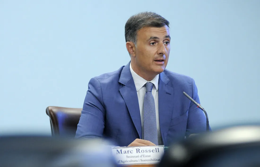   El secretari d’Estat d’Agricultura i Sostenibilitat, Marc Rossell, en la presentació del reglament ahir.