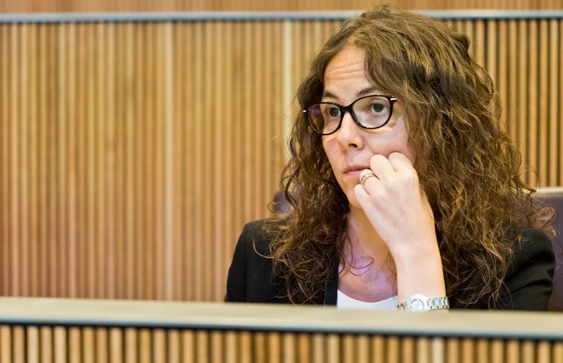 La presidenta suplent del grup parlamentari socialdemòcrata, Judith Salazar.