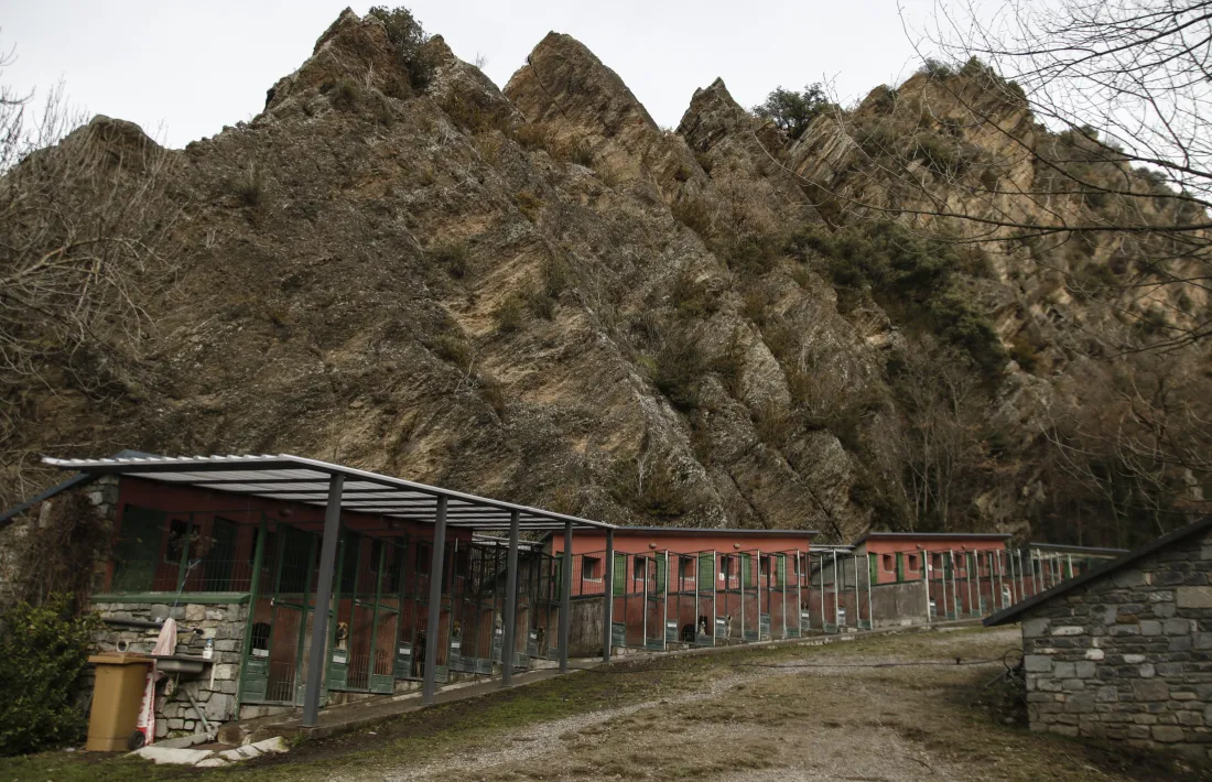 Les instal·lacions de la gossera oficial.