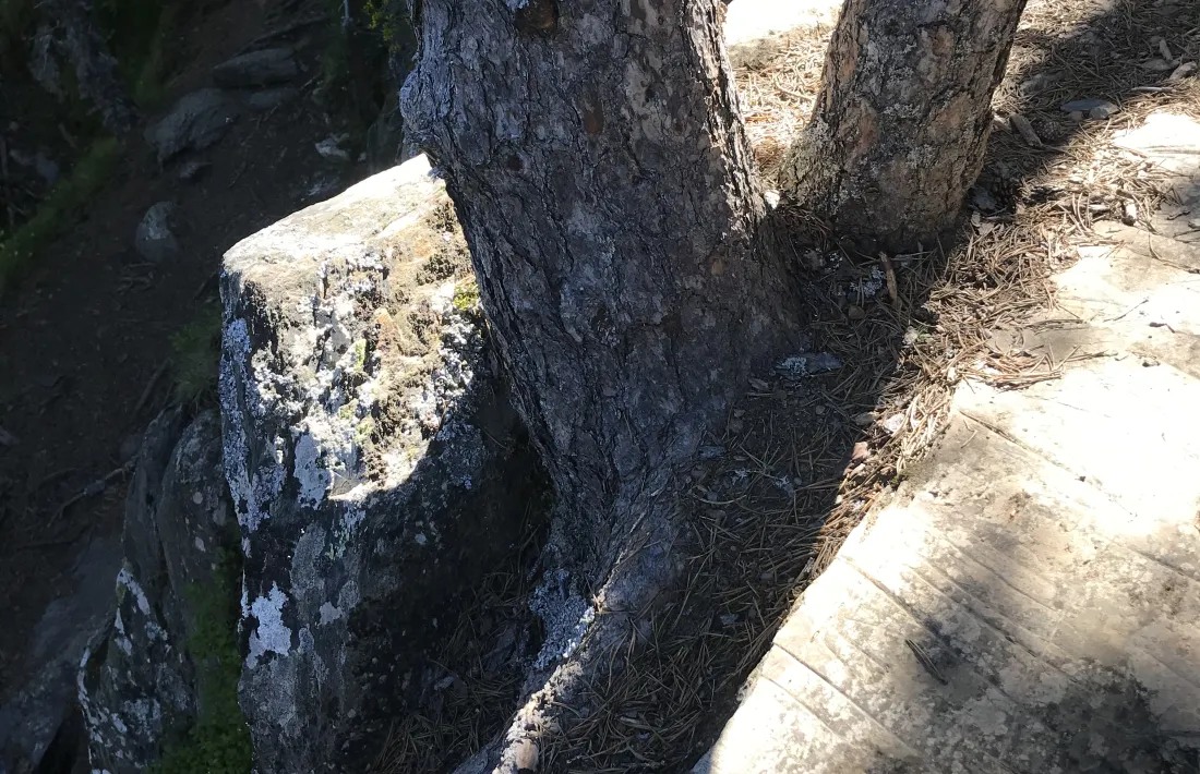 En cinc anys l’esquerda s’ha eixamplat entre dos i quatre centímetres, diu Remolins.