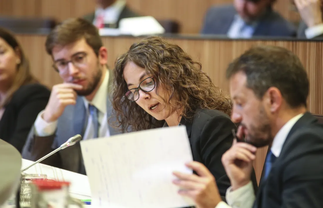 El grup socialdemòcrata havia proposat la creació d’una comissió especial.