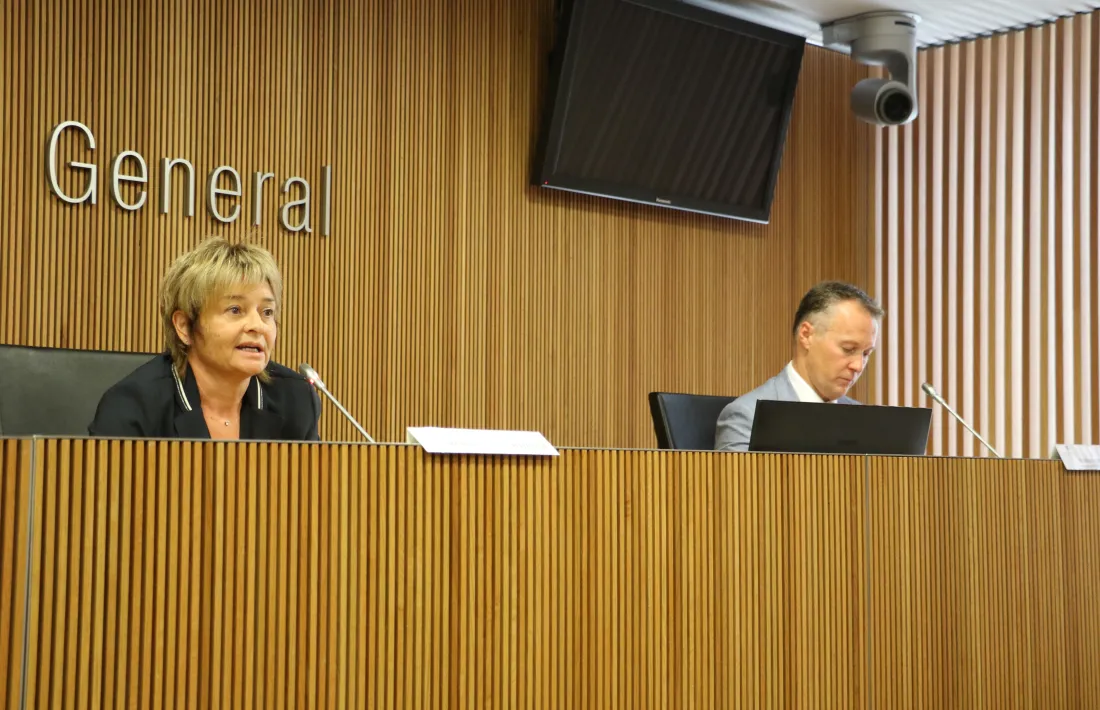 El president de la comissió legislativa d'Educació, Recerca, Cultura, Joventut i Esports, Ferran Costa, i la subsíndica general, Meritxell Palmitjavila.