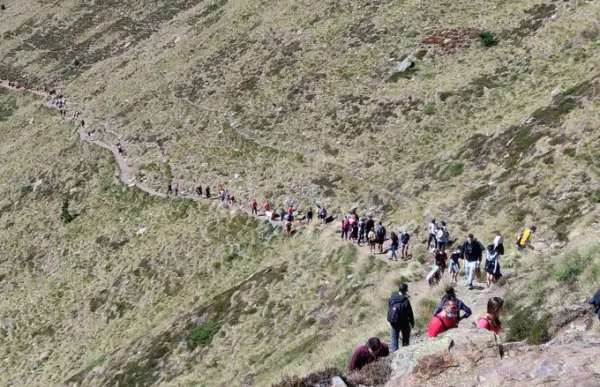 p._12.1_tristaina_david_triadu