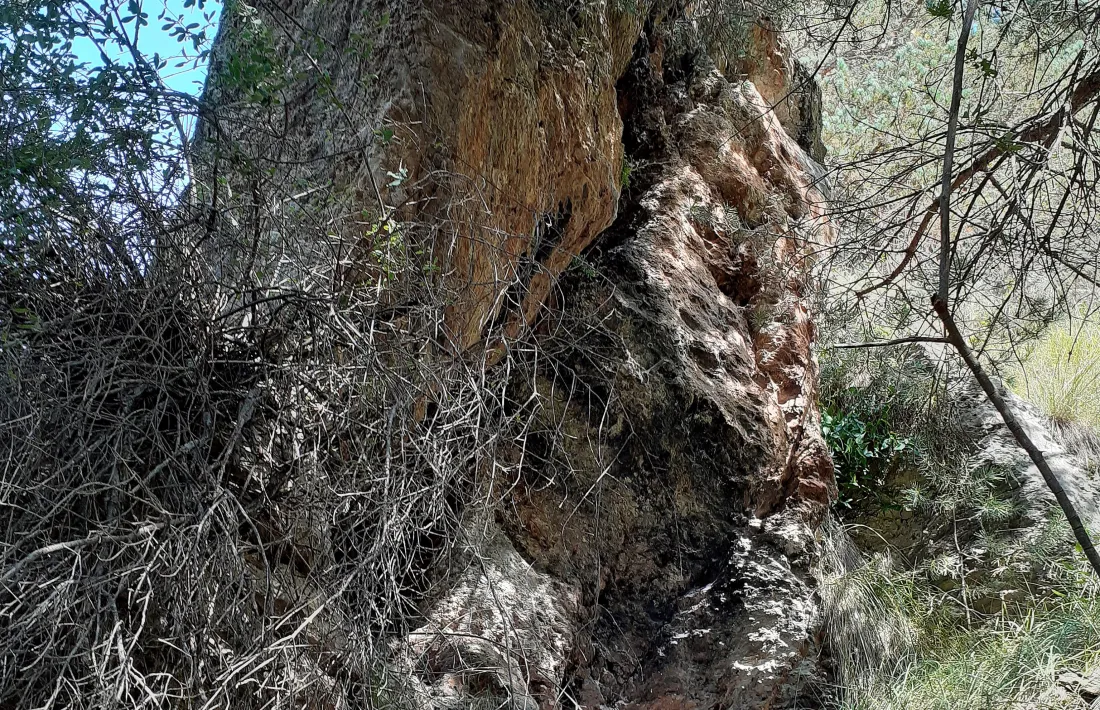 La Roca Bernada fa prop de tres metres d’alçada. A la part superior del roc hi ha gravat el segell, un traç longitudinal que servia per delimitar un terme, en aquest cas la propietat del Mas d’Alins.