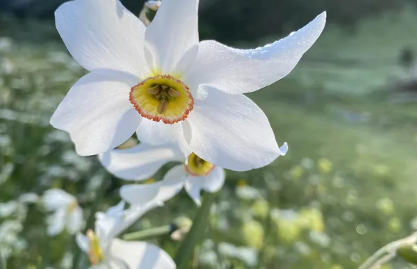 151866_1_-_foto_3_magali