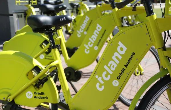 p._8.1_cicland_-_bondia