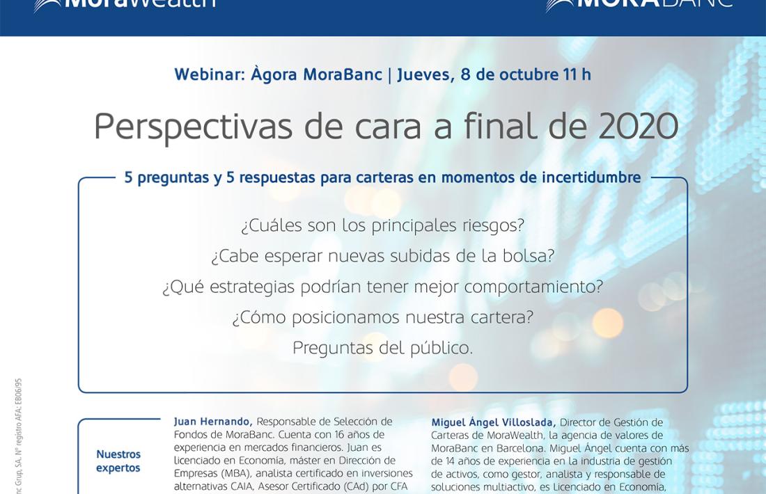 El cartell del webinar.