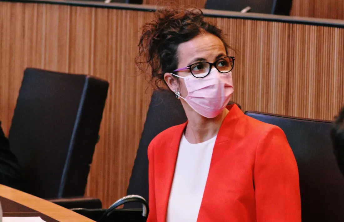 La presidenta suplent del grup parlamentari socialdemòcrata, Judith Salazar.