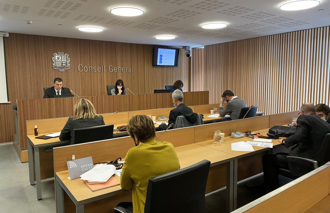 Gallardo en la compareixença davant de la comissió legislativa d’Economia, ahir.
