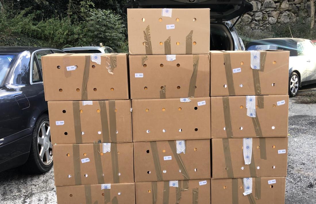 Les caixes amb els cartrons de tabac comissats, aquesta tarda.