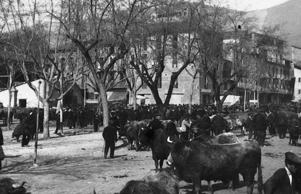 p._14_fira_sant_ermegol_-_xarxa