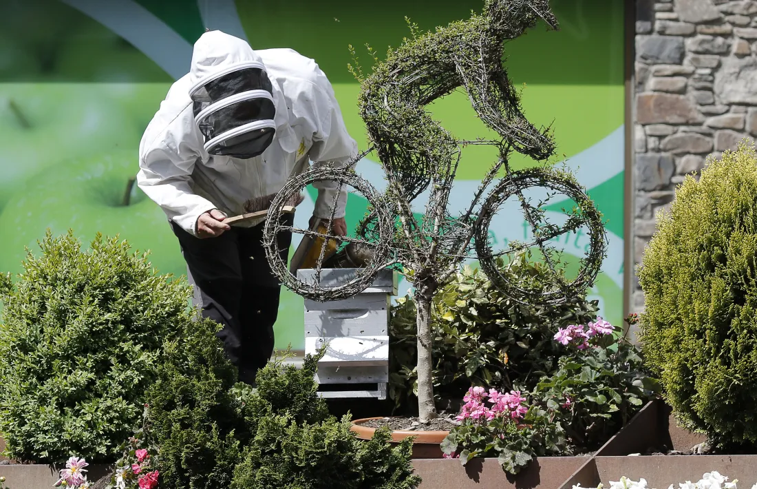 Un apicultor treballant.