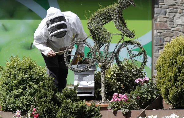 p._09_abelles_-_jgr_0