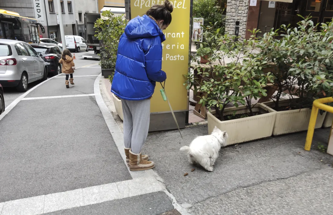 Un noia passeja un gos a la via pública.
