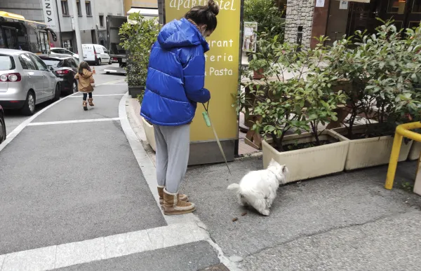 p._9.1_gos_caca_-_facundo_santana