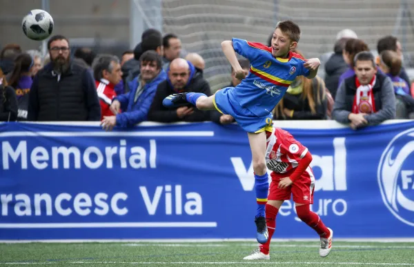 p._29_estadistica_federats